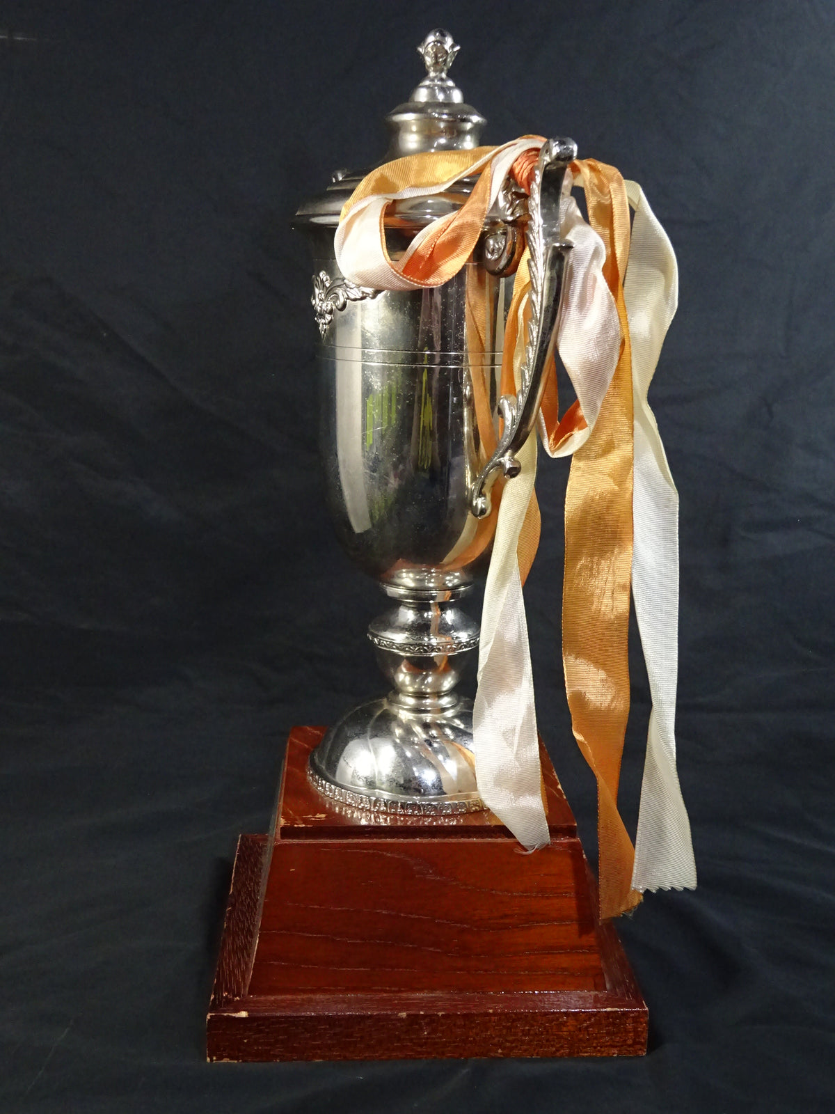 ★ ★ Tenryu Genichiro  1989 GWYS fighters  of the Year Trophy