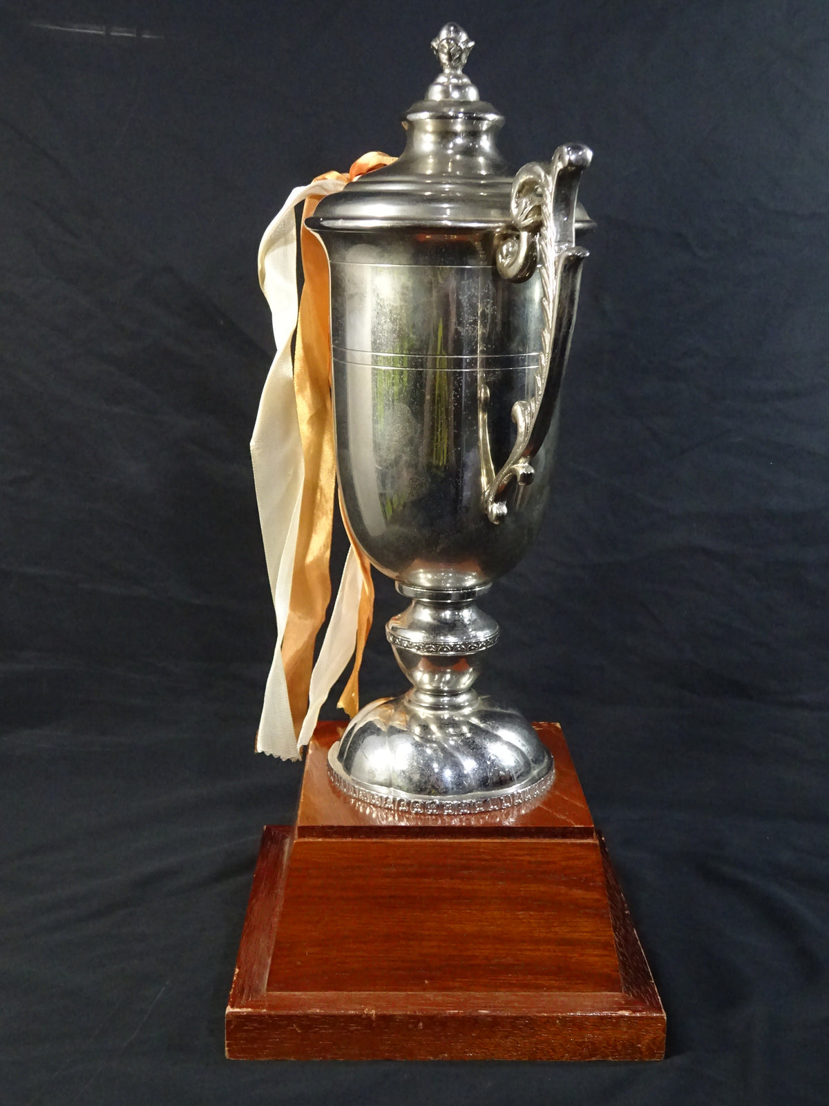 ★ ★ Tenryu Genichiro  1989 GWYS fighters  of the Year Trophy