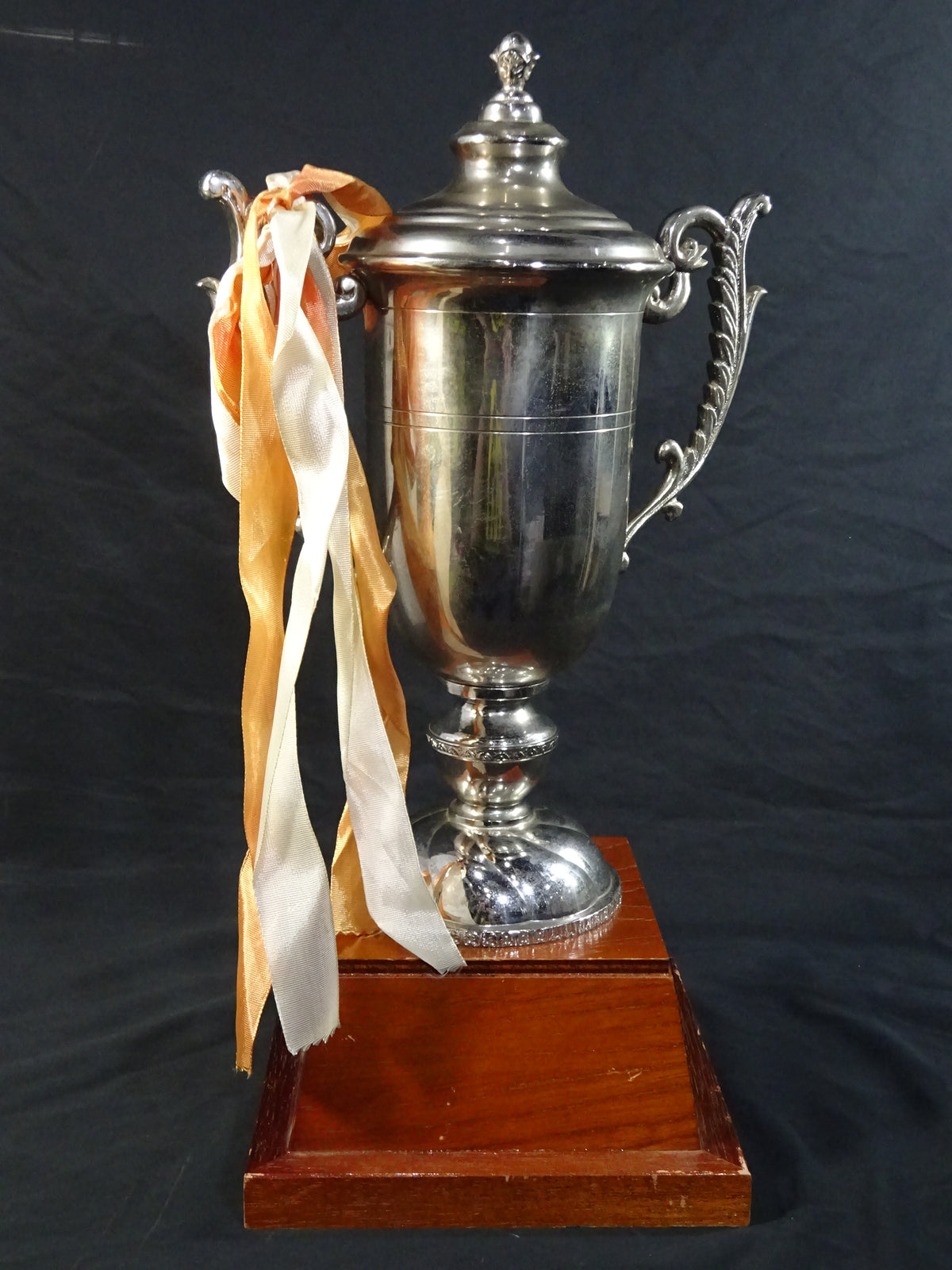 ★ ★ Tenryu Genichiro  1989 GWYS fighters  of the Year Trophy