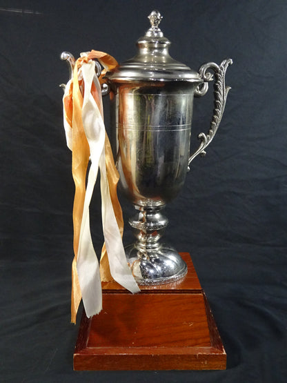 ★ ★ Tenryu Genichiro  1989 GWYS fighters  of the Year Trophy