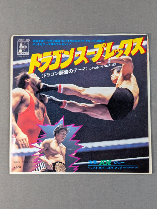 Dragon Suplex (Dragon Fujinami theme)