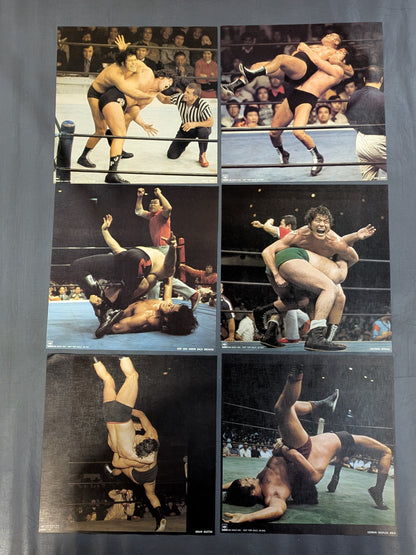 Burning Fighting Spirit Antonio Inoki 