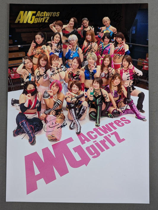 【全22選手 直筆サイン入り】 アクトレスガールズ 集合写真 ポートレート