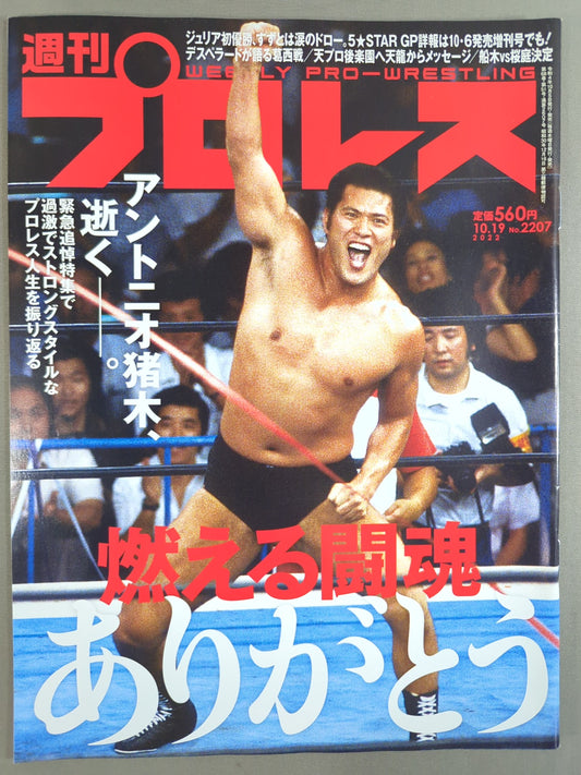 Weekly Pro Wrestling 2207
