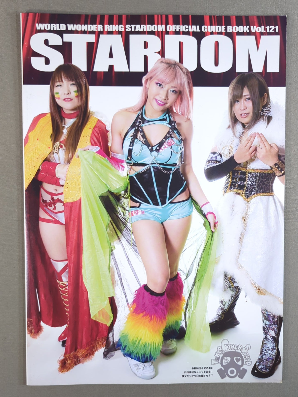 STARDOM OFFICIAL GUIDE BOOK Vol.121