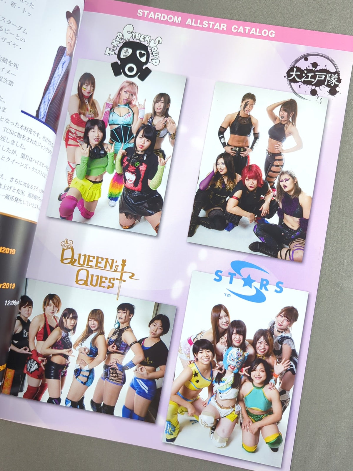 STARDOM OFFICIAL GUIDE BOOK Vol.121