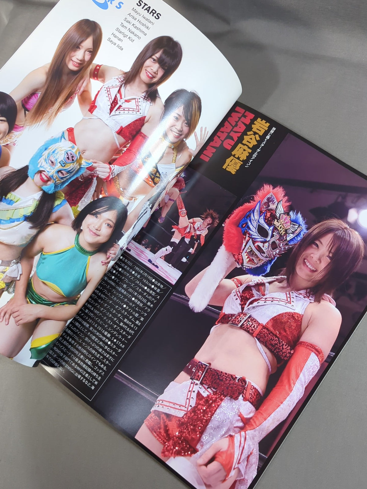 STARDOM OFFICIAL GUIDE BOOK Vol.121