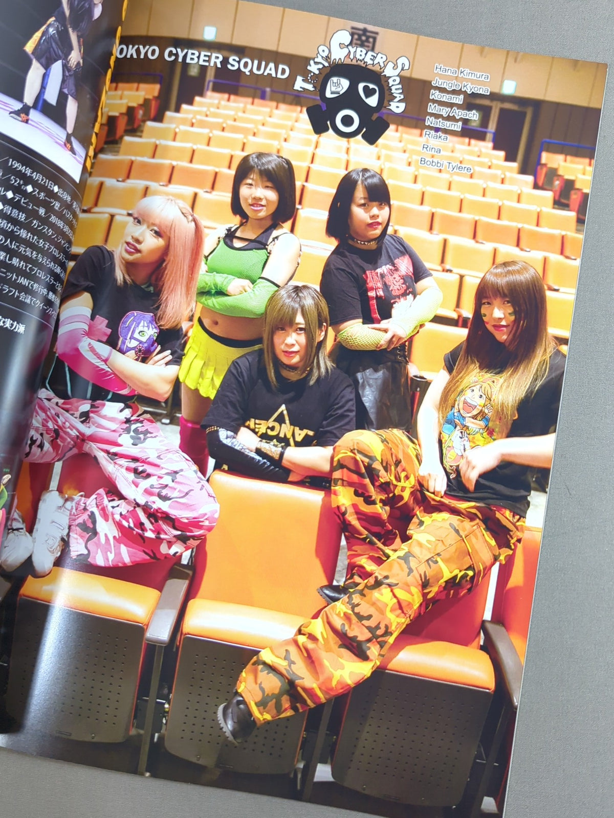 STARDOM OFFICIAL GUIDE BOOK Vol.121