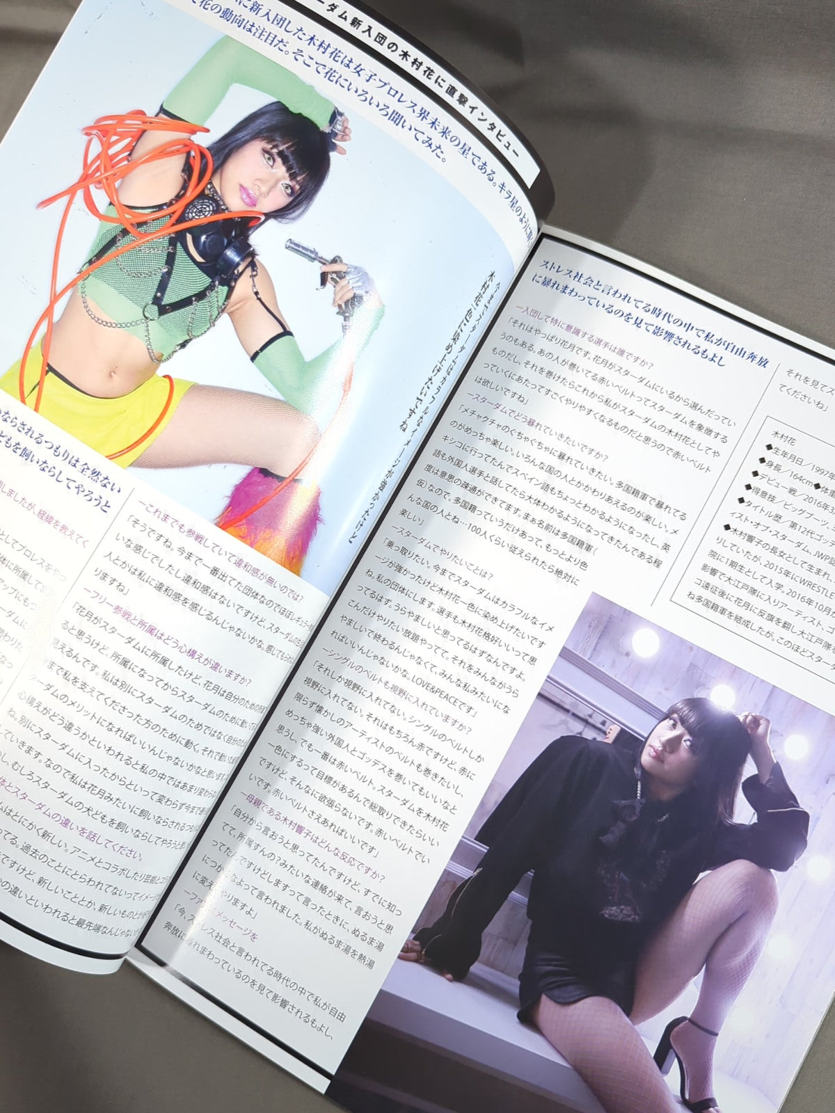STARDOM OFFICIAL GUIDE BOOK Vol.120