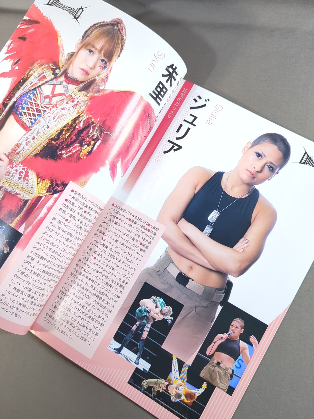 STARDOM OFFICIAL GUIDE BOOK Vol.135