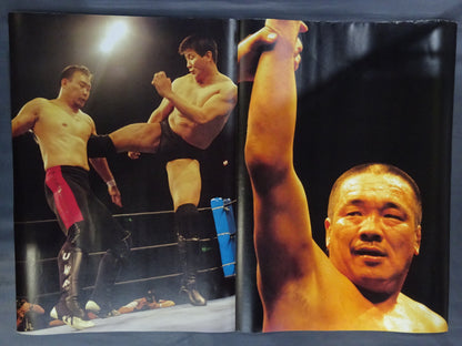U.W.F Warrior Double-Sided Poster (1)