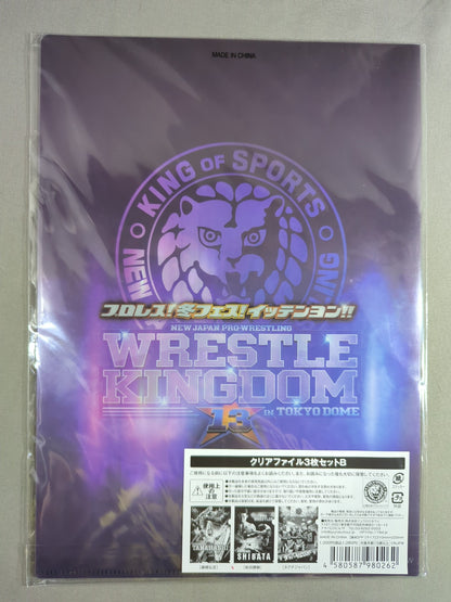 新日本プロレス WRESTLE KINGDOM 13 クリアファイル3枚セットB