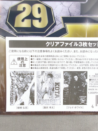 新日本プロレス G1 CLIMAX 29 クリアファイル3枚セットA