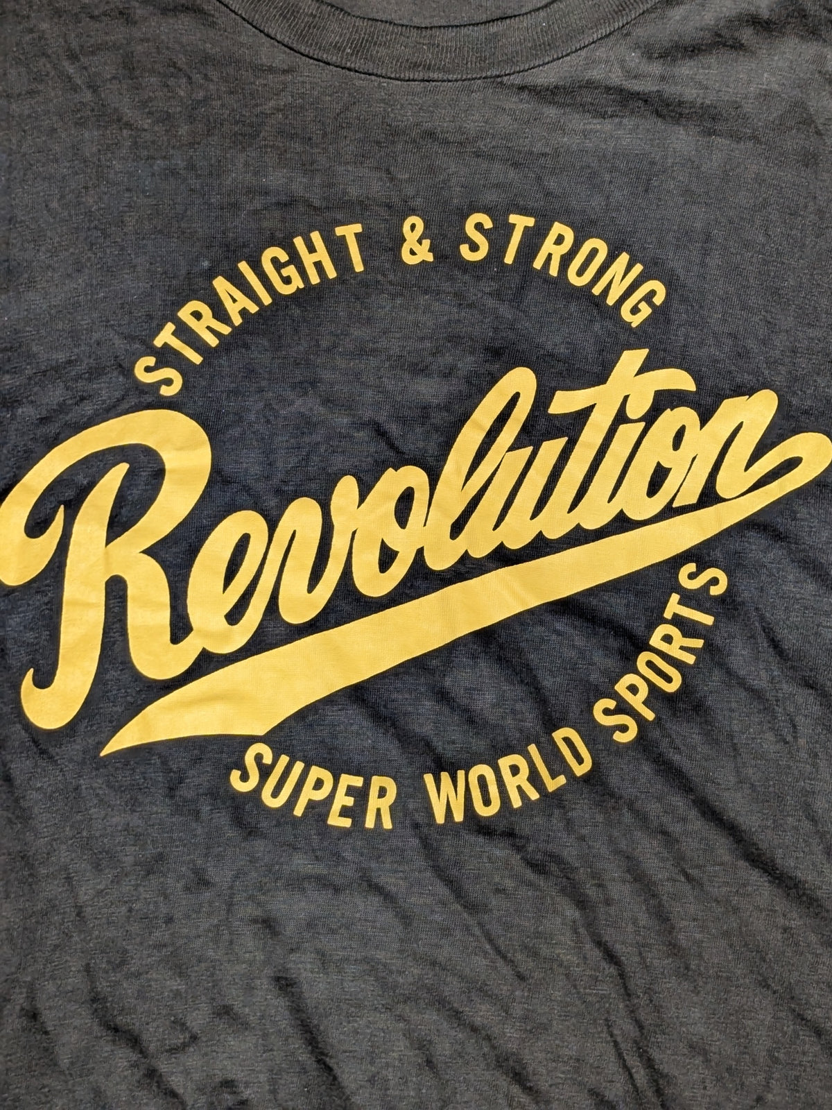Tenryu Genichiro  "SWS Revolution" T-shirt