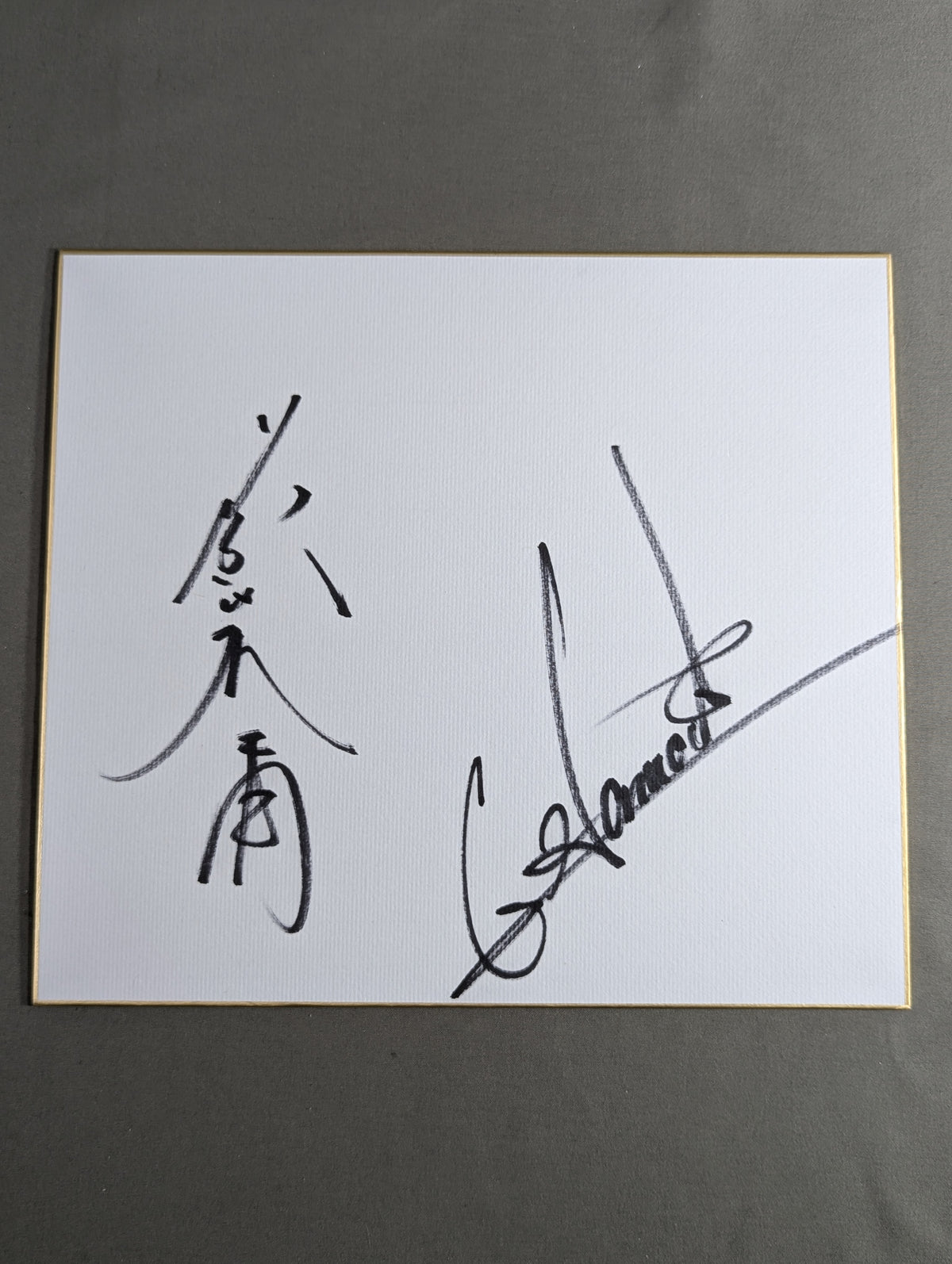 藤波辰爾＆グラン浜田