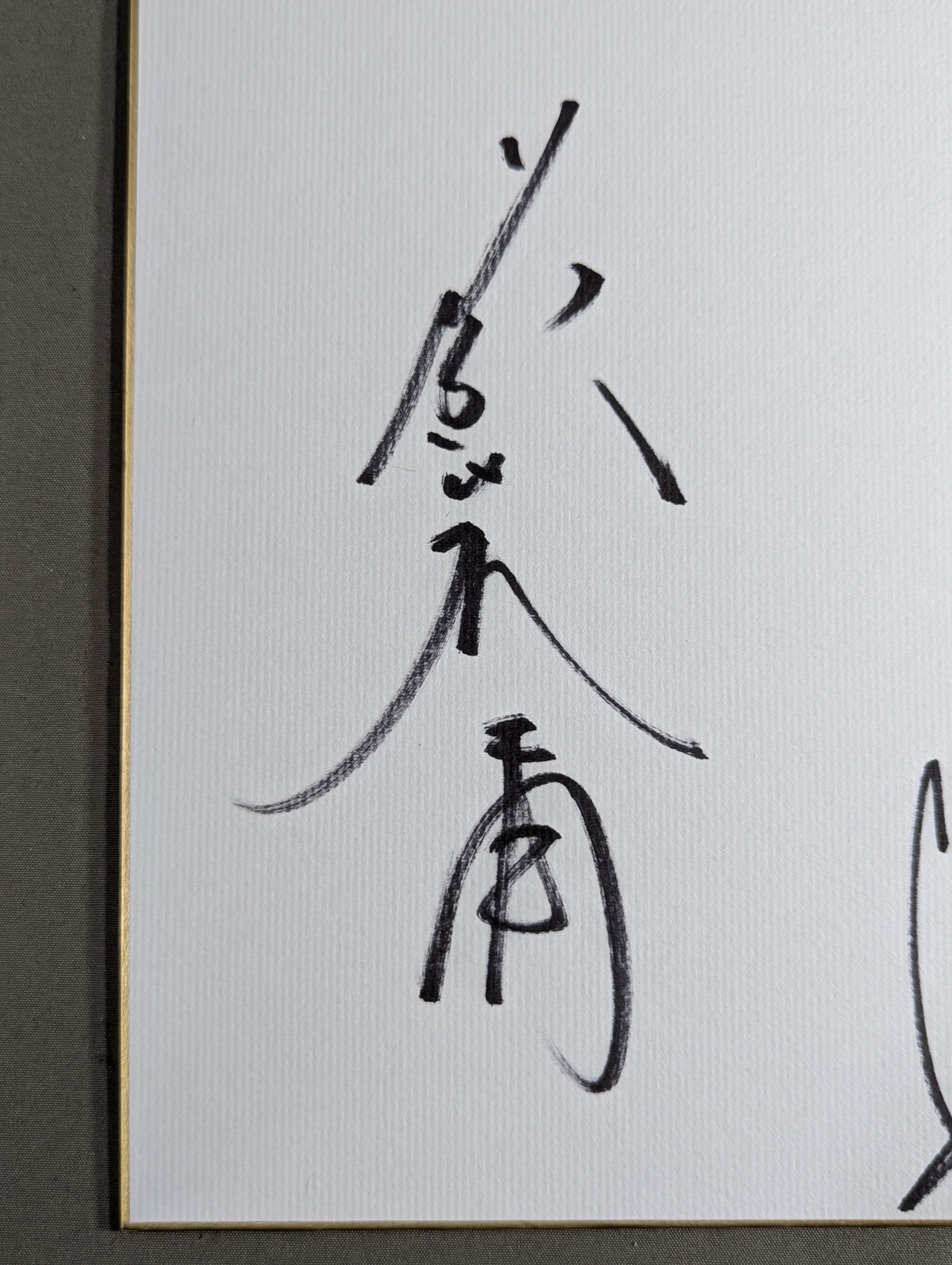 藤波辰爾＆グラン浜田