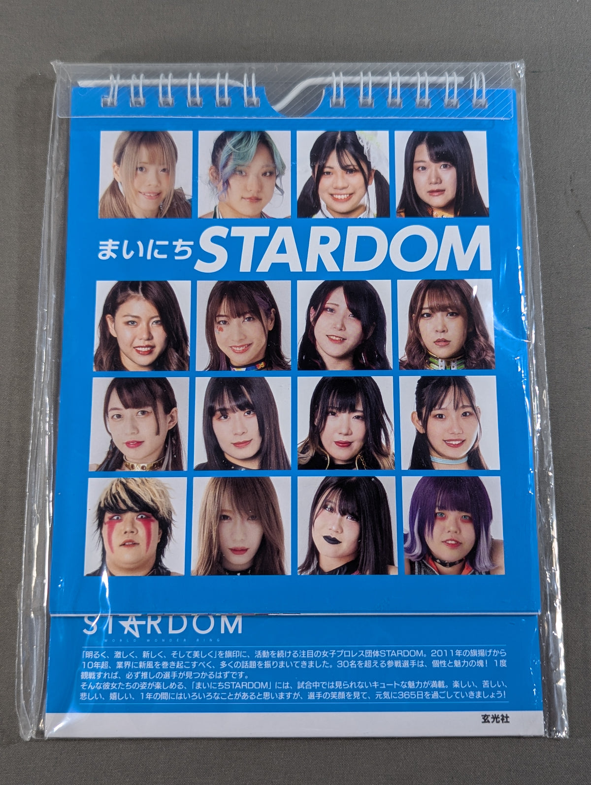 Daily Calendar Mai Nichi STARDOM