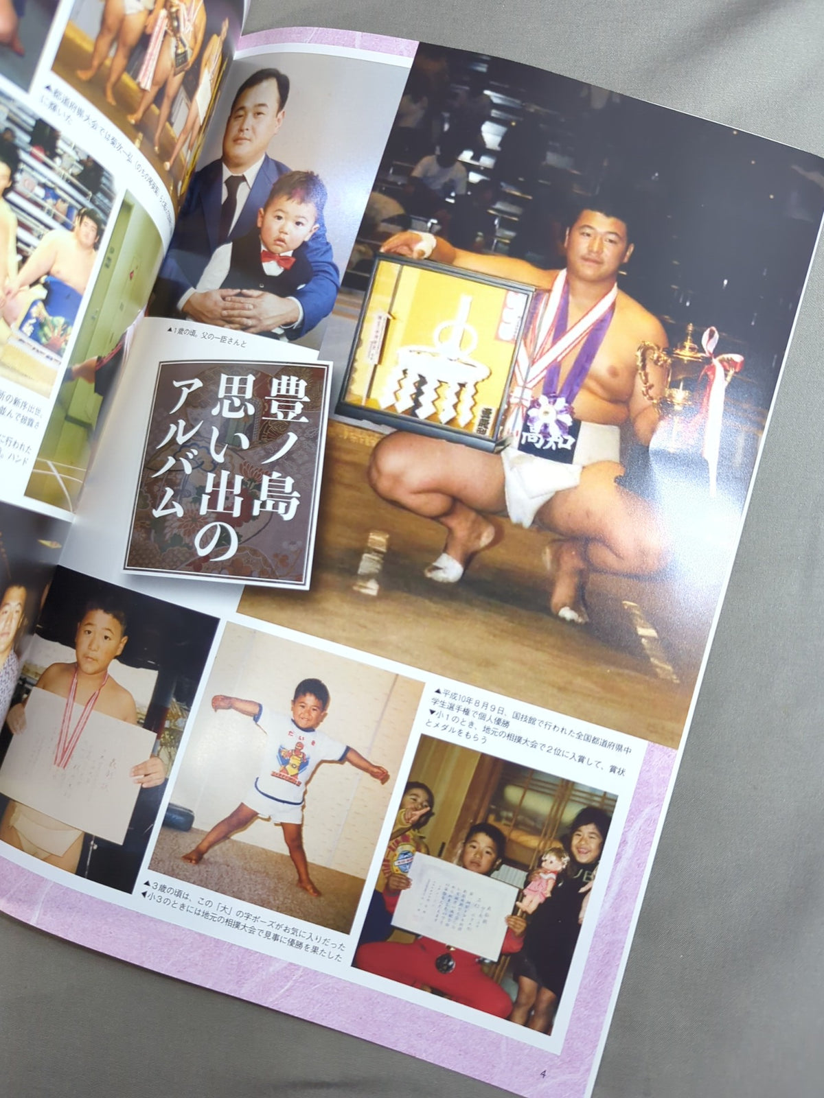 【hand signed autograph】 Toyonoshima Retirement Commemoration Daiki Toyonoshima
