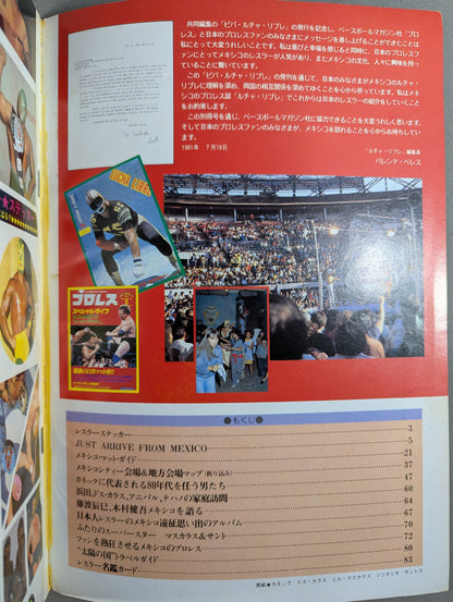 週刊プロレス別冊4 ｢VIVA! LUCHA LIBRE ビバ! ルチャ・リブレ｣