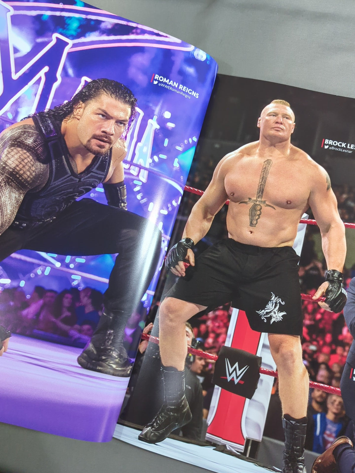 [With ticket stub] WWE OFFICIAL PROGRAM 2018(B)