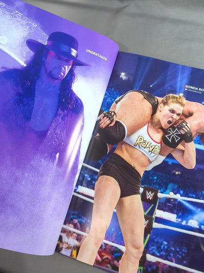 [With ticket stub] WWE OFFICIAL PROGRAM 2018(B)