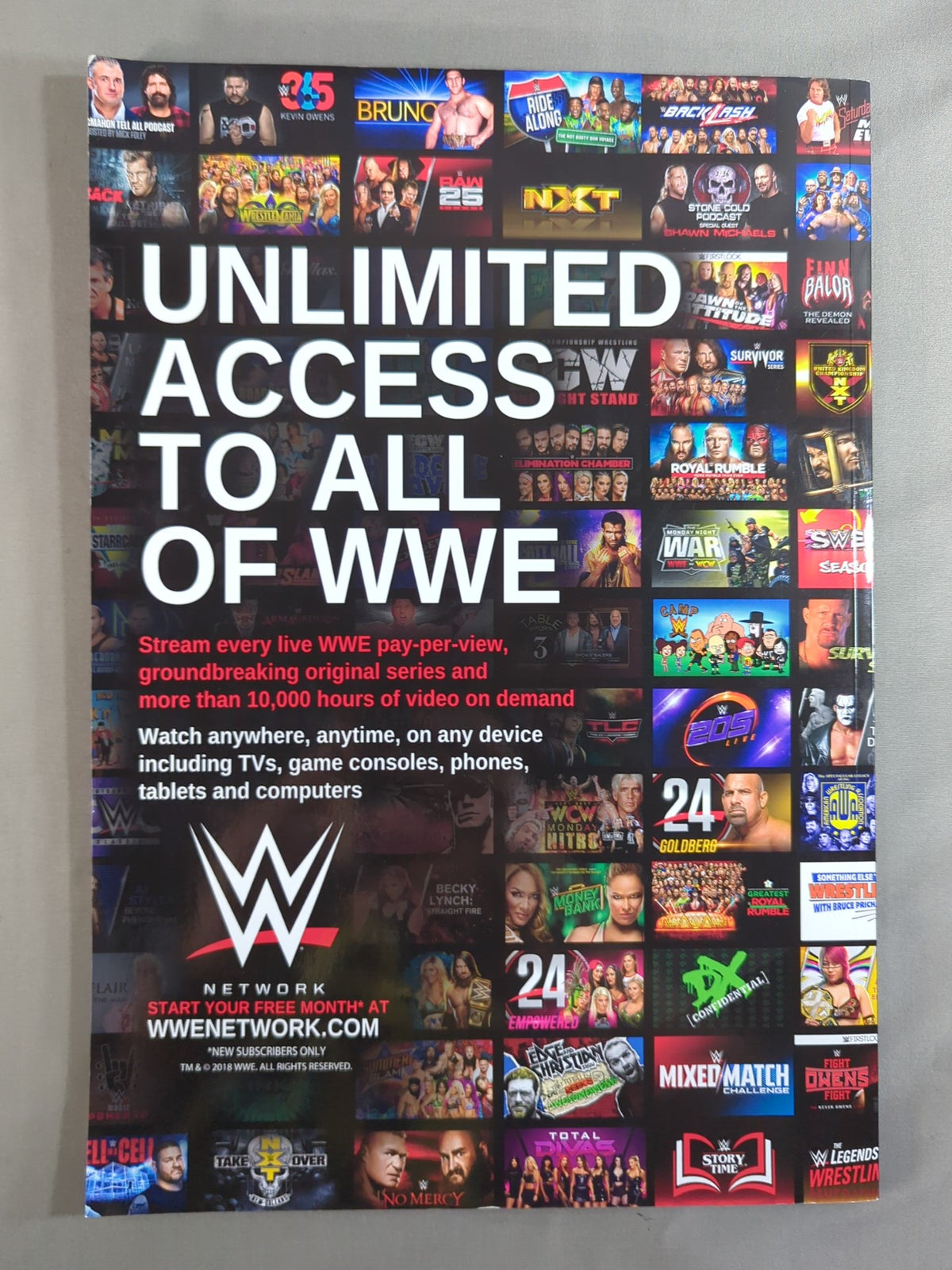[With ticket stub] WWE OFFICIAL PROGRAM 2018(B)