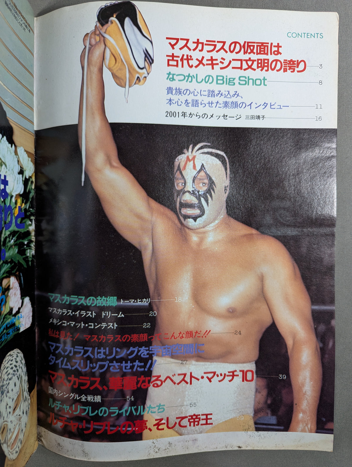 プロレスアルバム29 ミル・マスカラス ★改訂版★