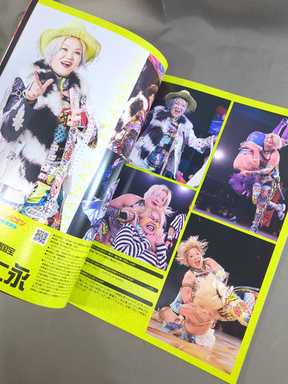 Marigold / MARIGOLD GUIDE BOOK Vol.10