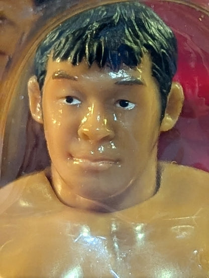 Kazushi Sakuraba (Orange Spats) Full Movable Action Figure