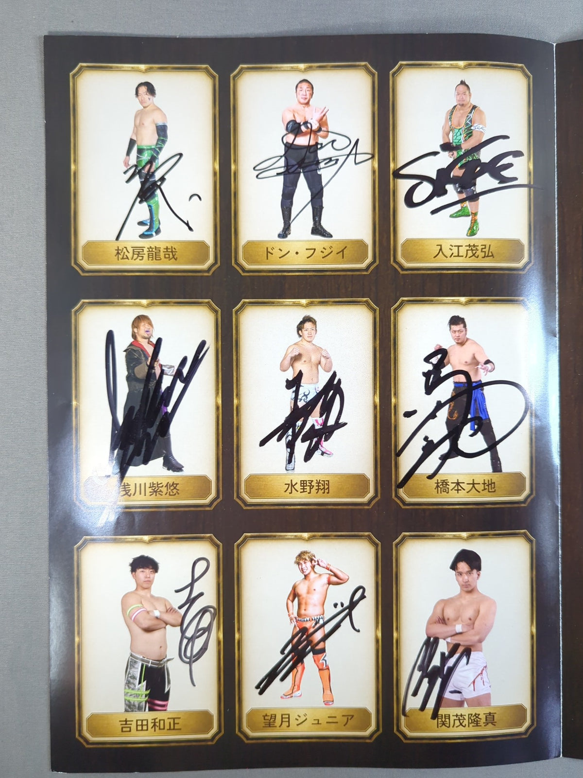 [All fighters hand signed autograph ] Let's Play with Dander Lion pro wrestler !