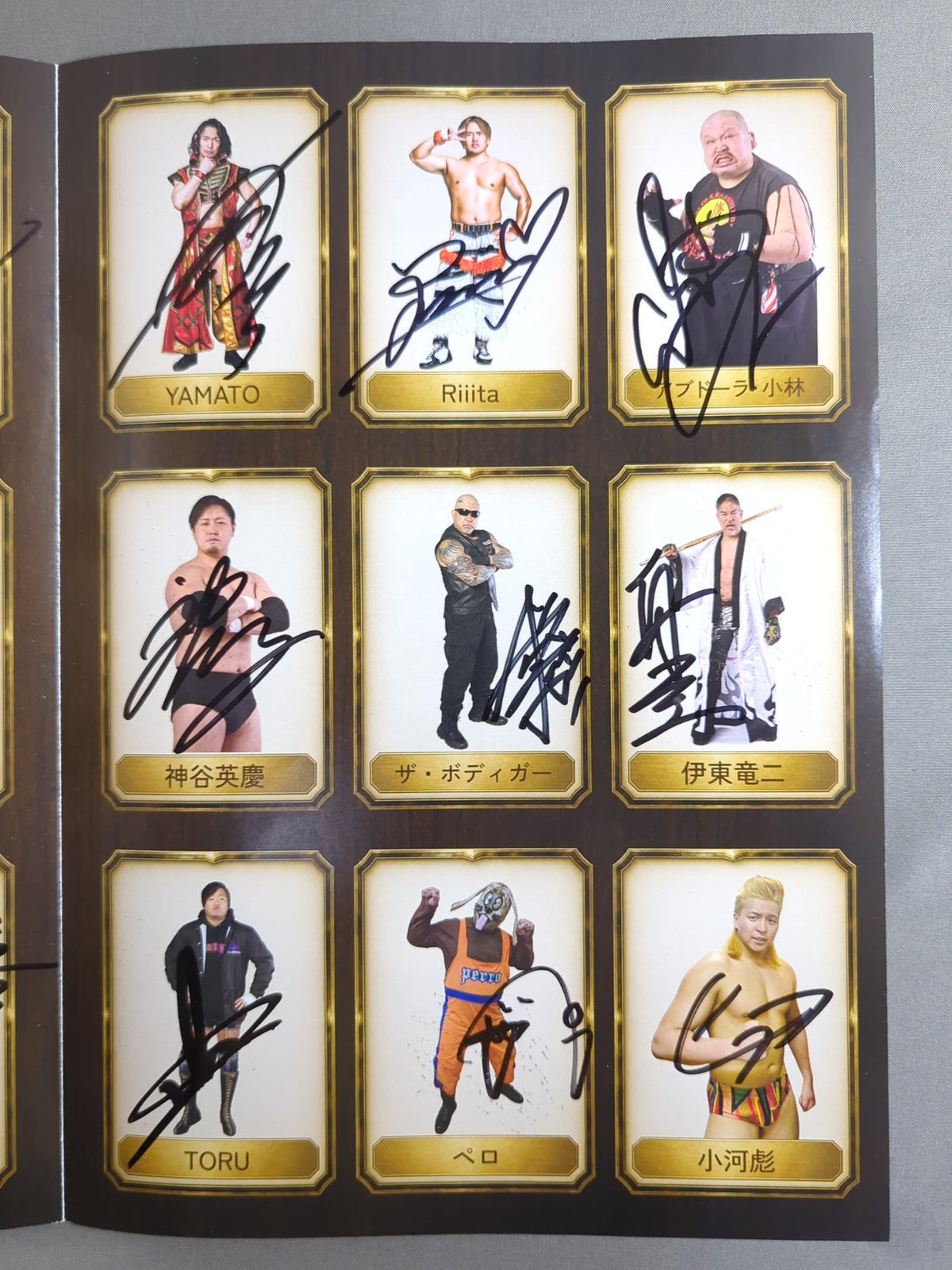 [All fighters hand signed autograph ] Let's Play with Dander Lion pro wrestler !