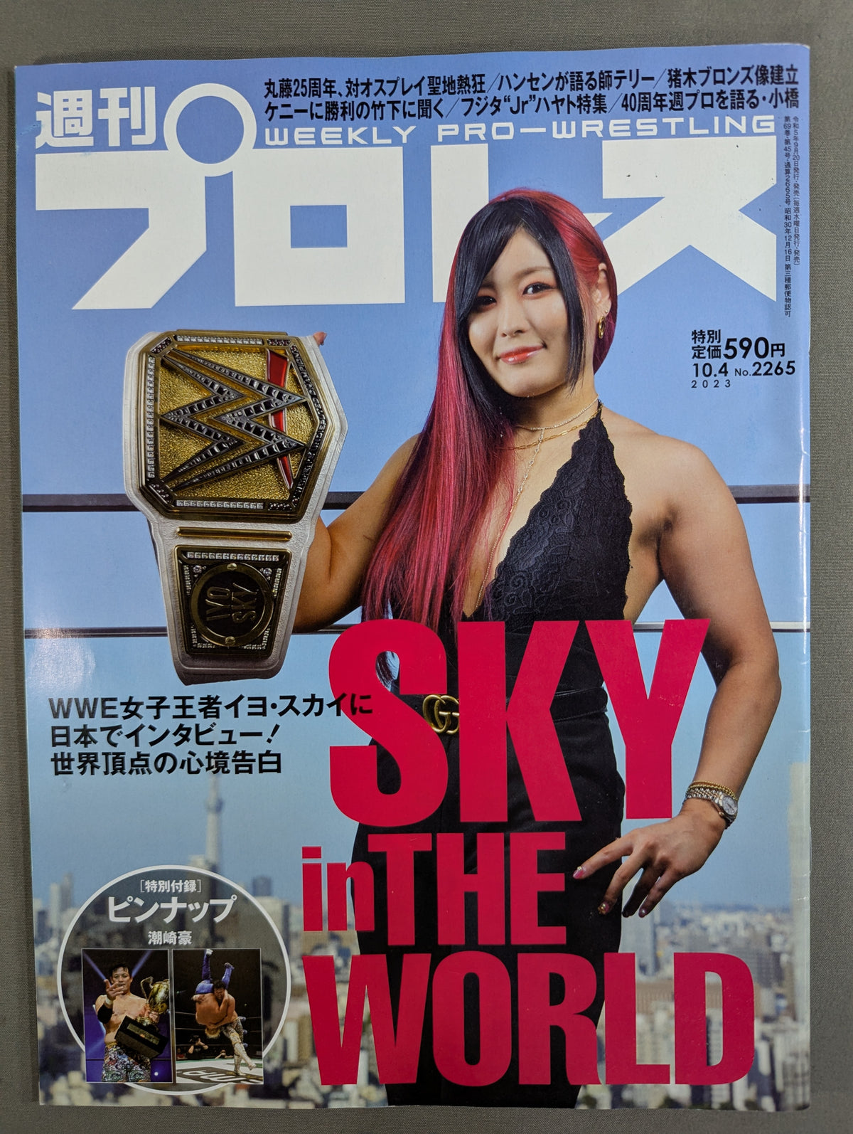 Weekly Pro Wrestling 2265