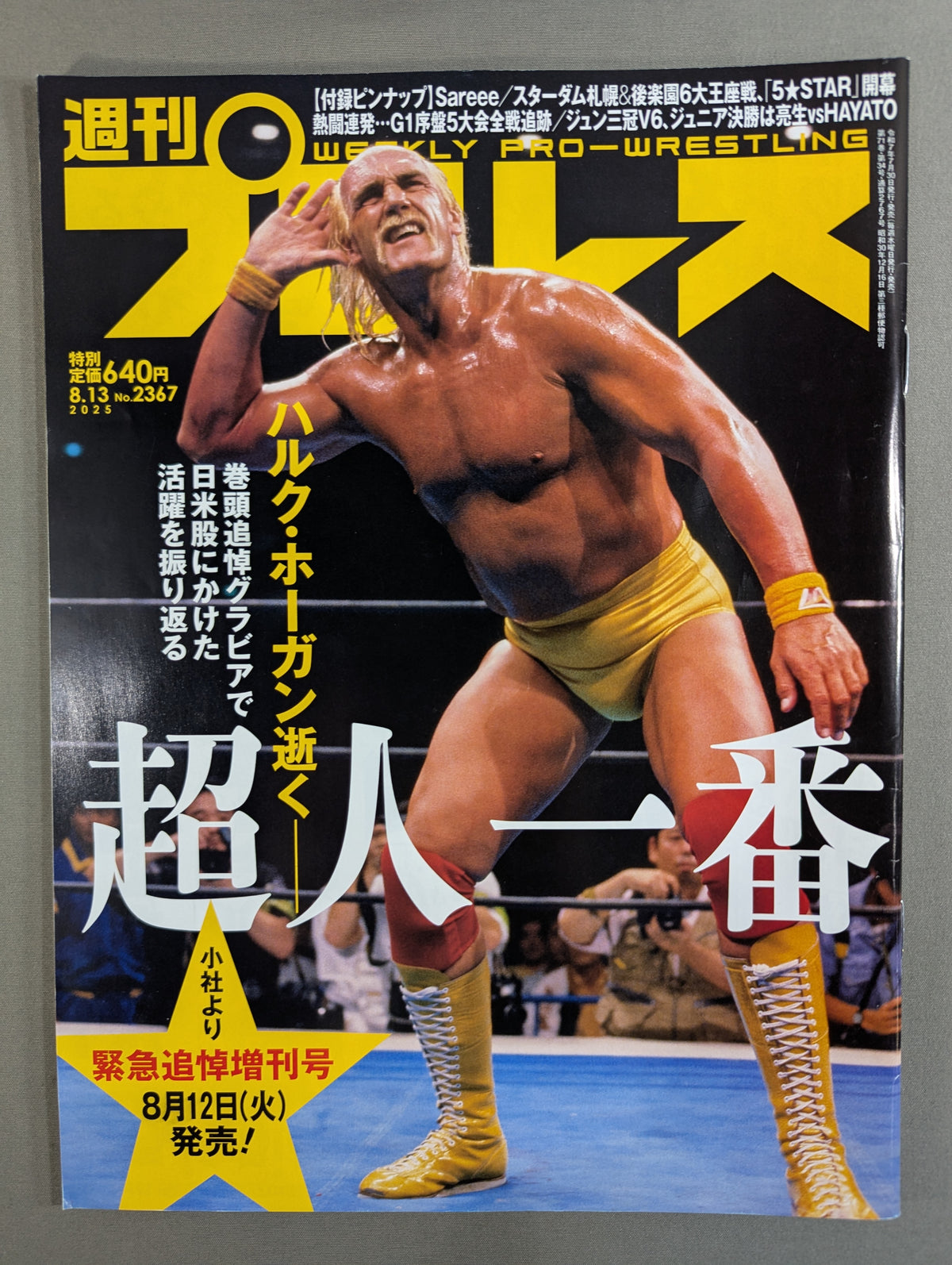Weekly Pro Wrestling 2367