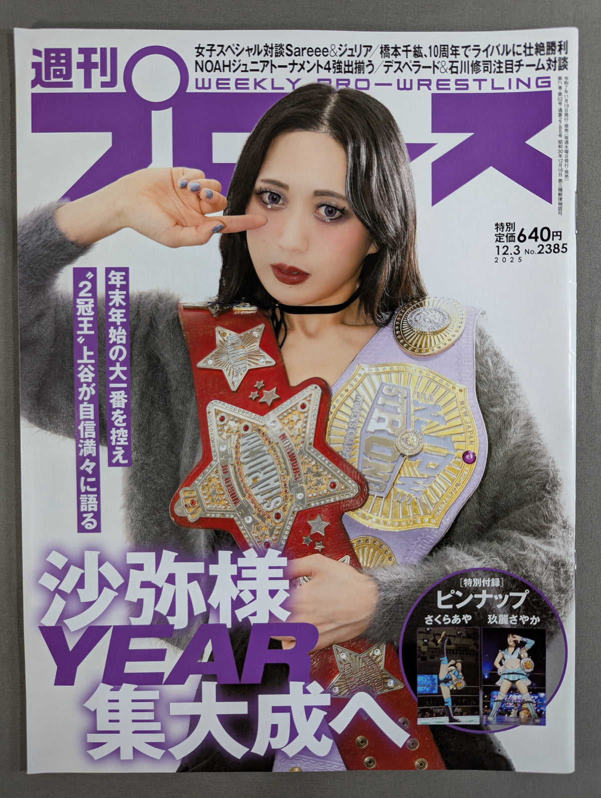 Weekly Pro Wrestling 2385