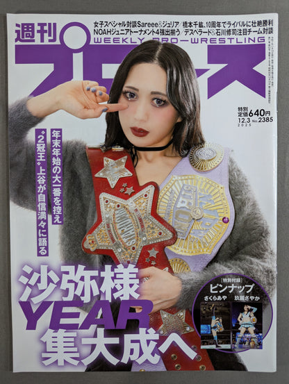 Weekly Pro Wrestling 2385
