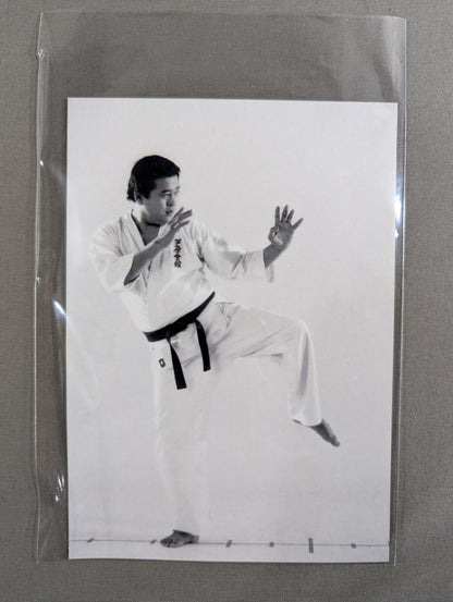Hideyuki Ashihara KARATE Ichidai Sabaki Densetsu DVD-BOX