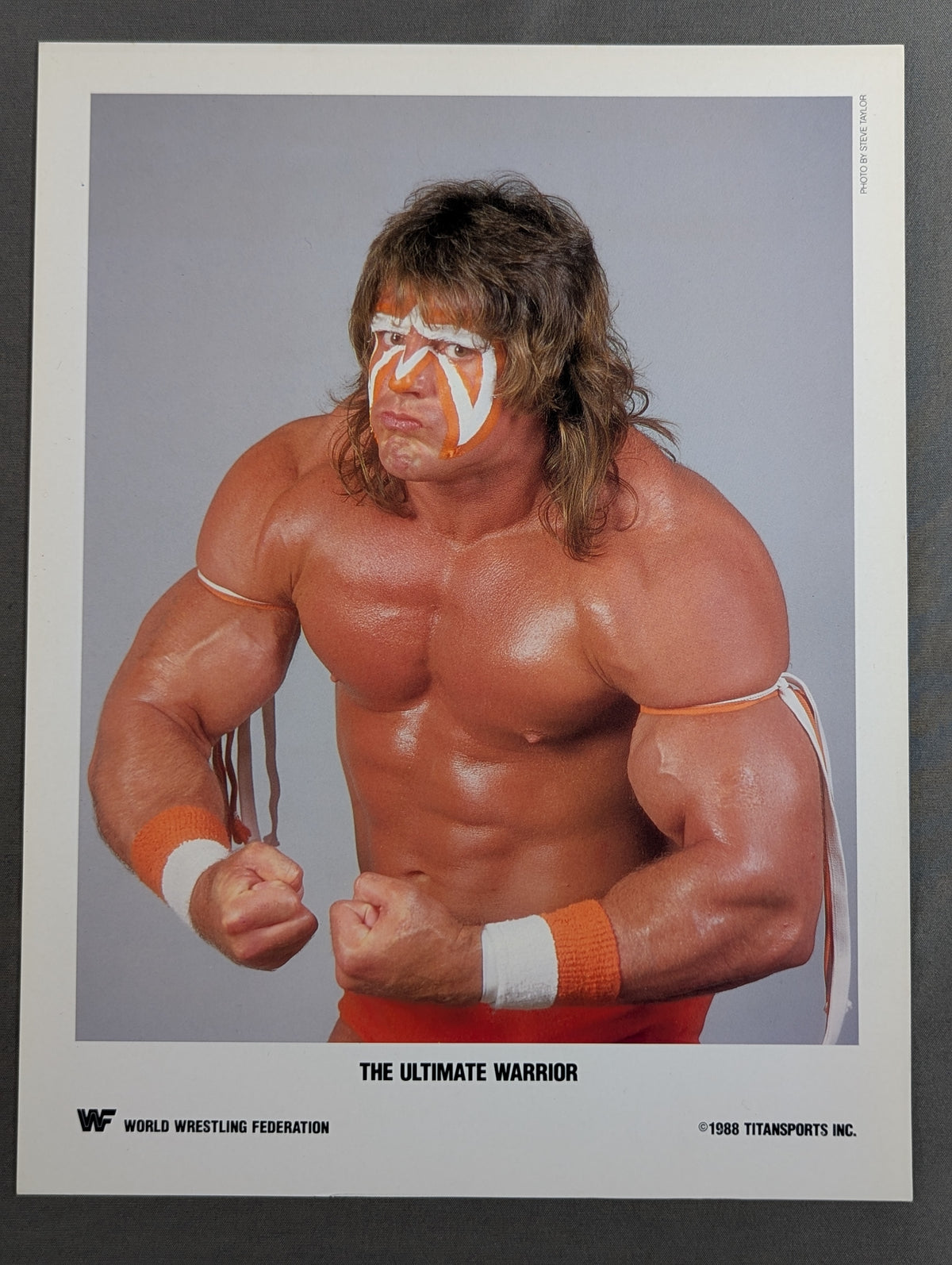 WWF アルティメット・ウォリアー ポートレート(1988)