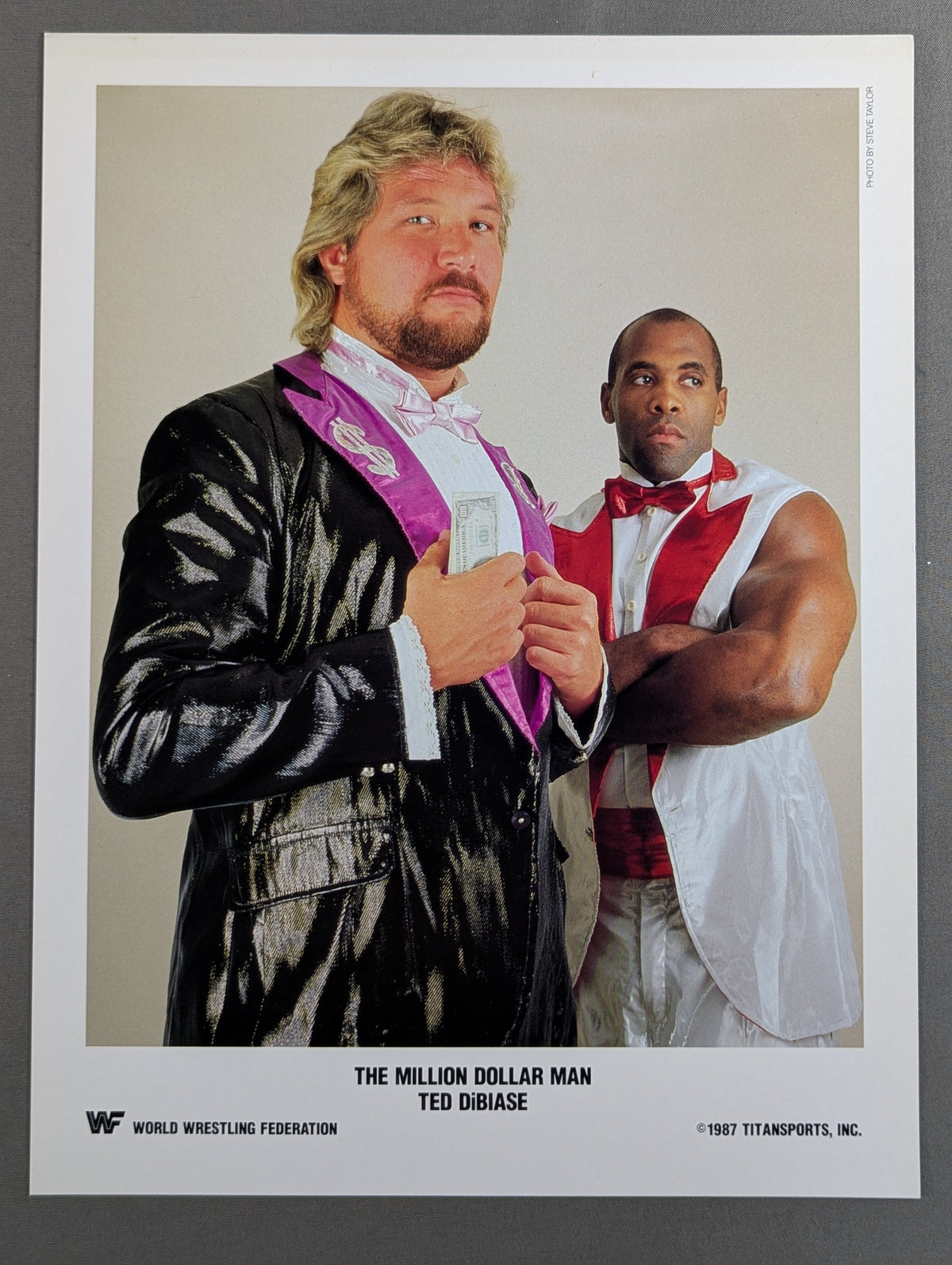 WWF テッド・デビアス ポートレート(1987)