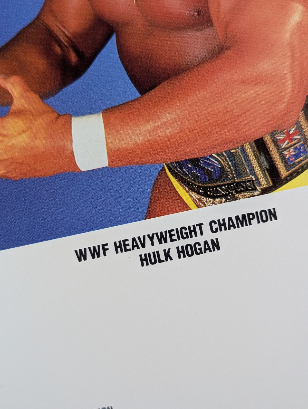WWF Hulk Hogan  Pro-Photo  (1987)