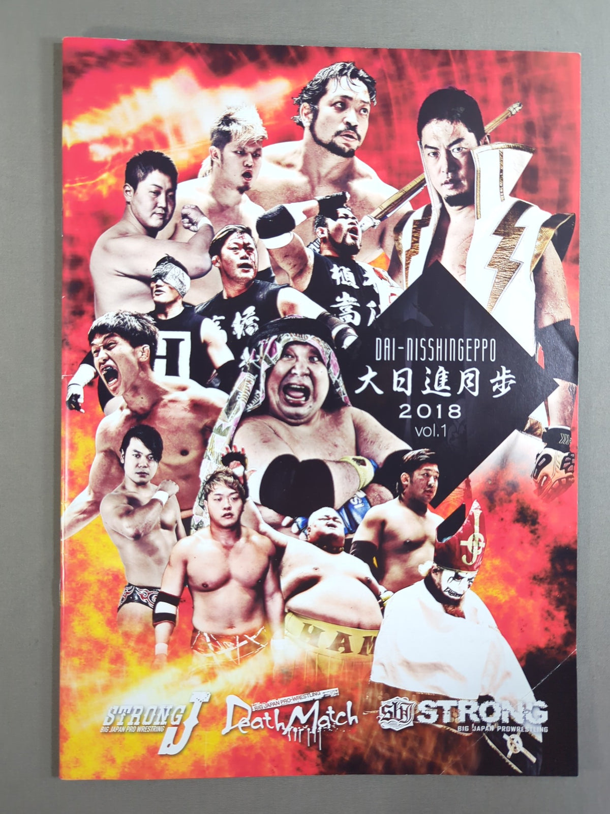 【13選手直筆サイン入り】大日進月歩 2018 vol.1