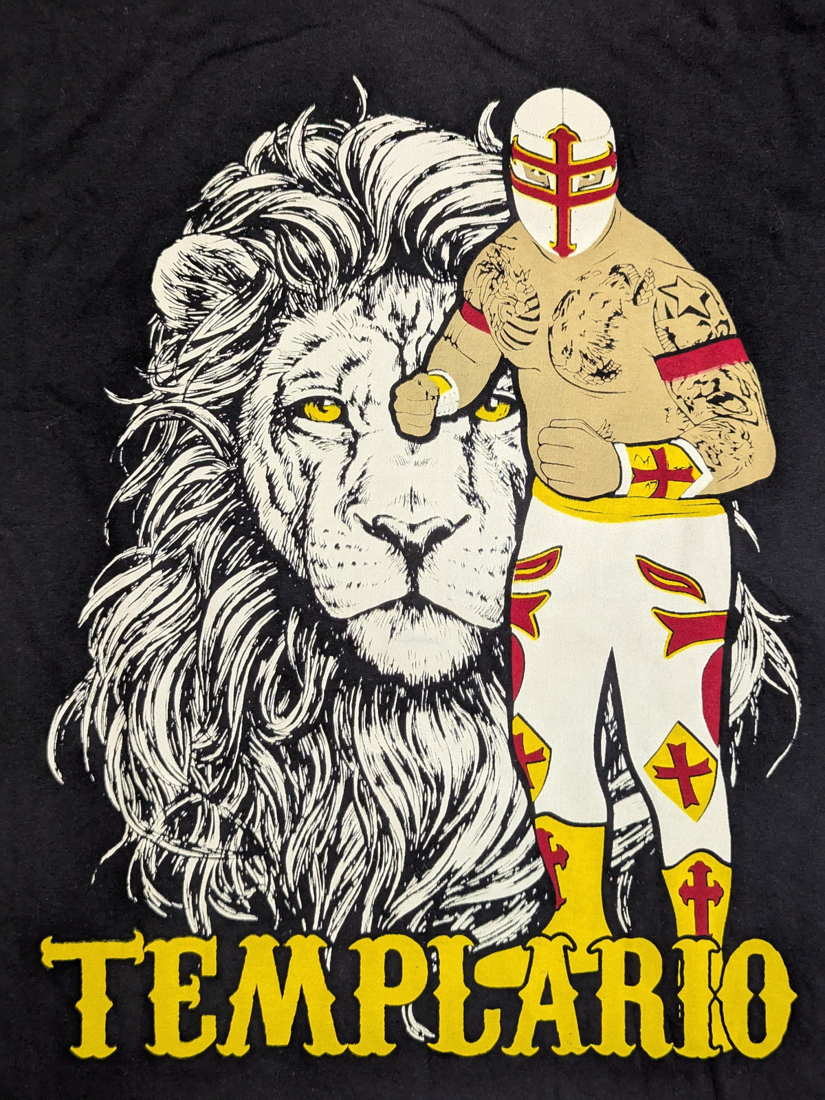 Templario Illustration T-Shirt (1) (Black)