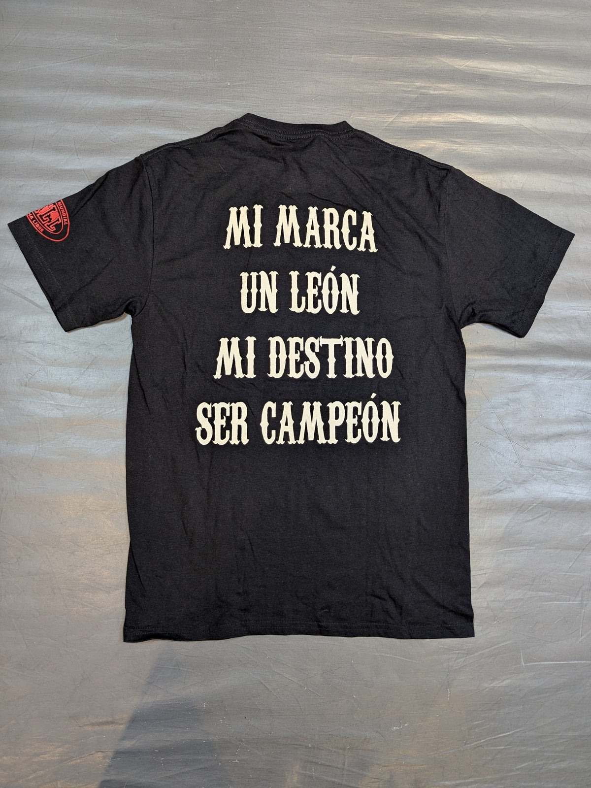 Templario Illustration T-Shirt (1) (Black)