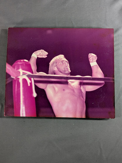Hulk Hogan Wooden Photo Panel (1)