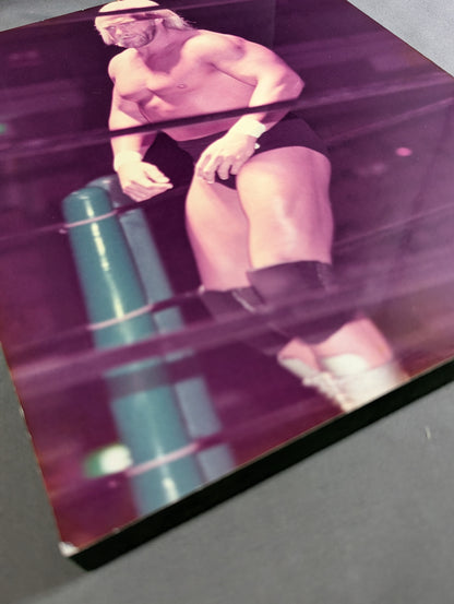 Hulk Hogan Wooden Photo Panel (2)