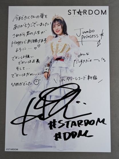 HIMEKA  Pro-Photo  Set of 4