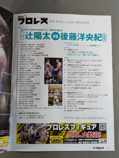 Weekly Pro Wrestling 2431