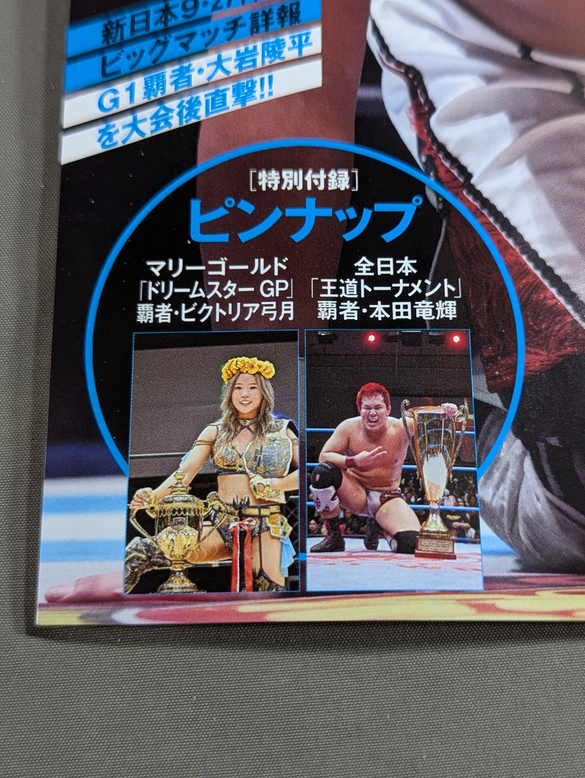 Weekly Pro Wrestling 2431