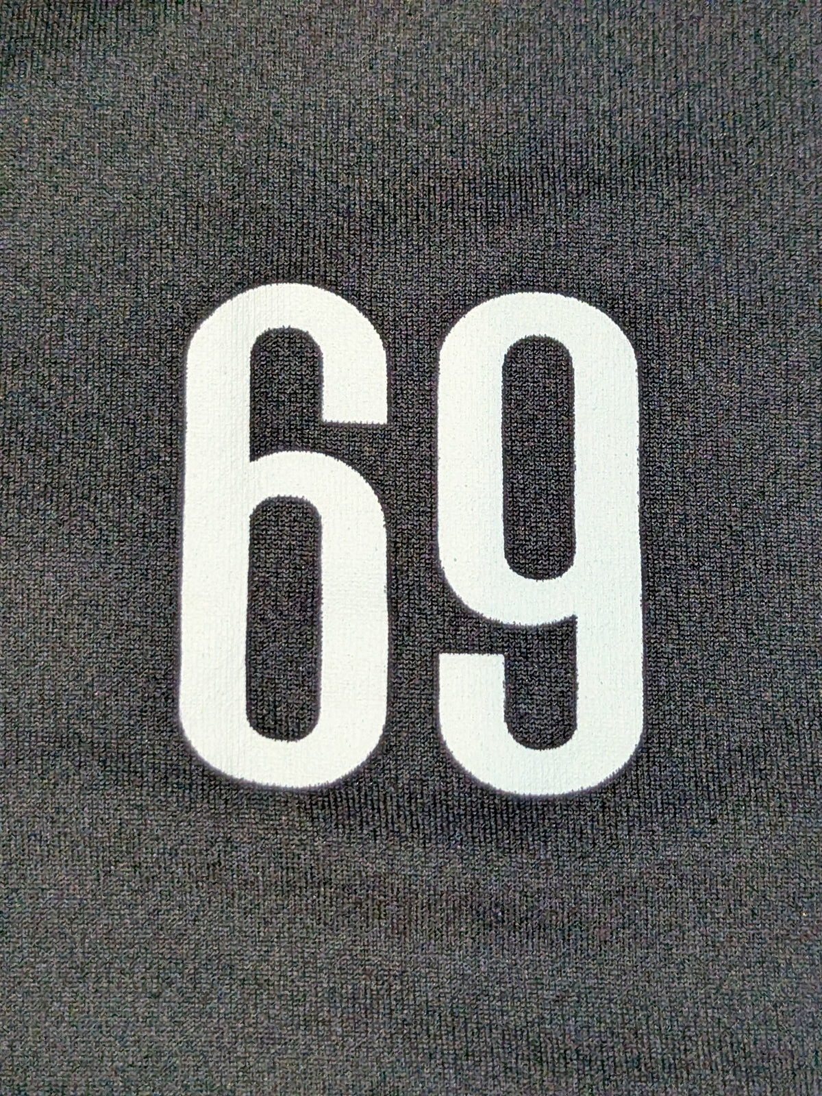 Taguchi Japan "Hiroshi Tanahashi" Dry T-Shirt (1)