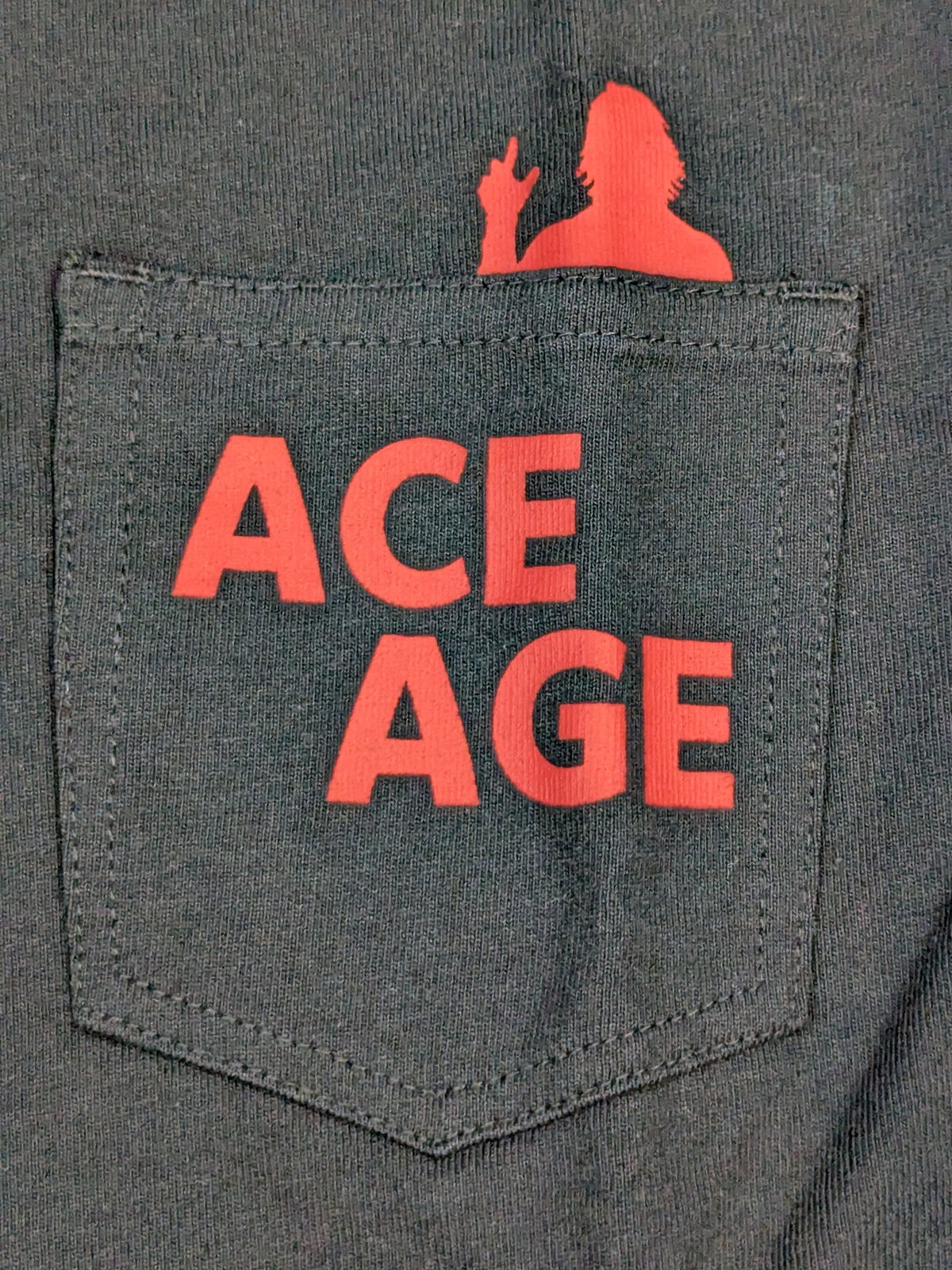 棚橋弘至×EDWIN VネックポケットTシャツ(ACE AGE)