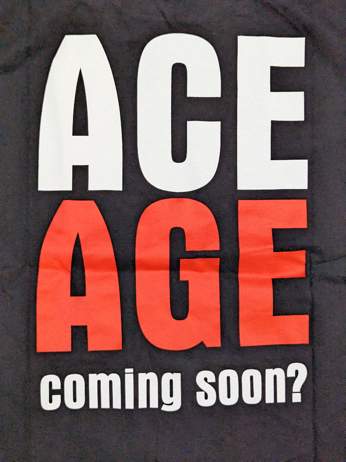棚橋弘至「ACE AGE」Tシャツ